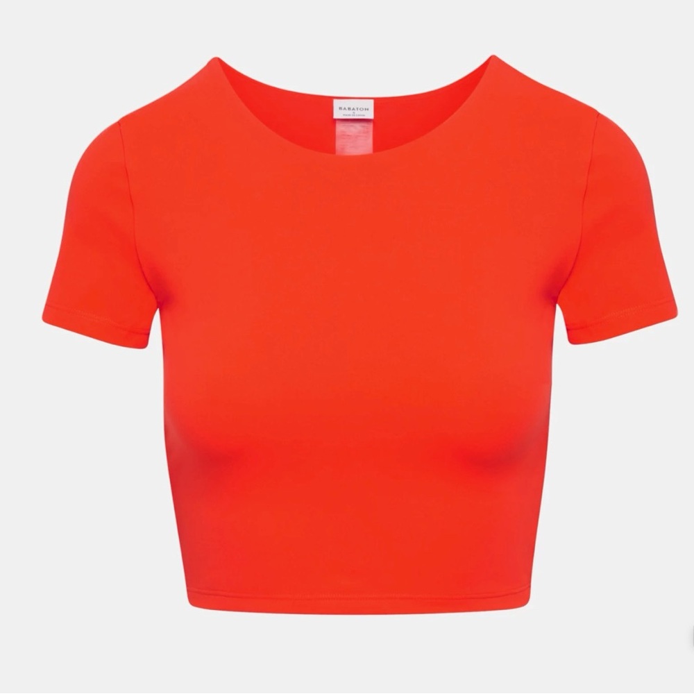 NWT Babaton cropped top